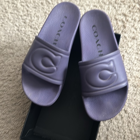 Coach slides - Picture 3 of 5